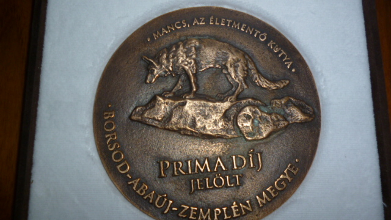 Megyei Prima dij BAZm