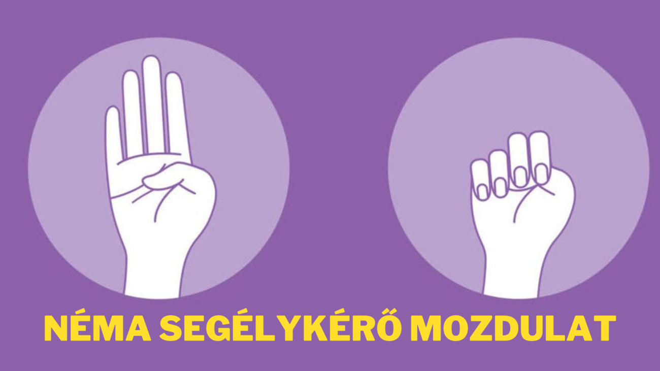 Nema-segelykero-mozdulat