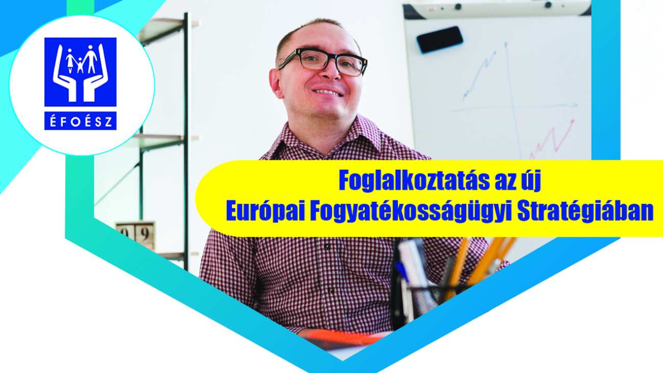 Fogyatekossaggal elok helyzetenek javitasa a munkaeropiacon_cover